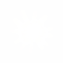Logo Claude Skills — Eskimoz